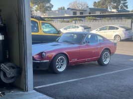 IMG_2667.jpeg