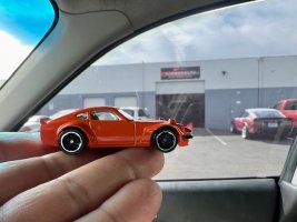 IMG_2877.jpeg