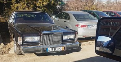 Кобра2-Сервиз-пролет2025-7.jpg
