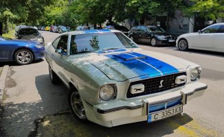 сервизКобра-пролет2025-6.jpg