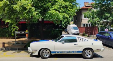 сервизКобра-пролет2025-7.jpg