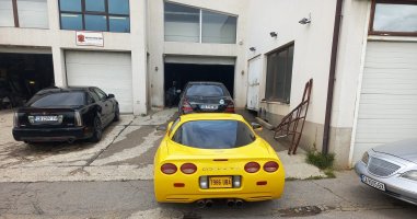 кобраСервиз-ВетС5-2.jpg