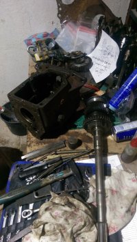 IMAG0113.jpg