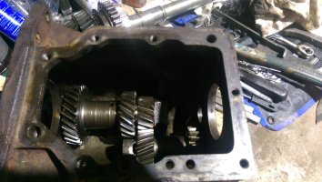 IMAG0115.jpg