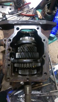 IMAG0116.jpg