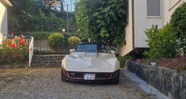 амер-Вет С3-Ямбол.jpg