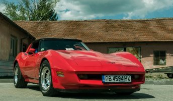 амер-РВ-Вет С3.jpg