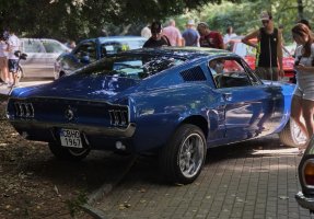 амер-Парад Банкя-3.jpg