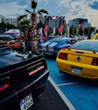 амер-Станг 1968.jpg