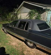 амер-Флити Бояна.jpg