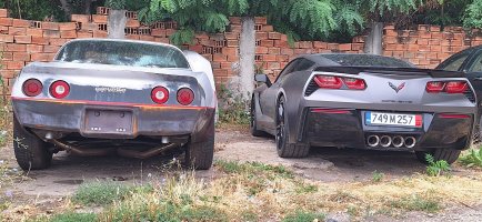 амер-вет С3-боя.jpg