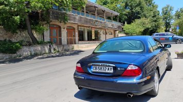 Стайп-Златни-ЗлатенЛъвРест-2.jpg