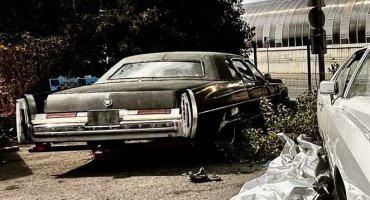 амер-Рафи коли-4.jpg