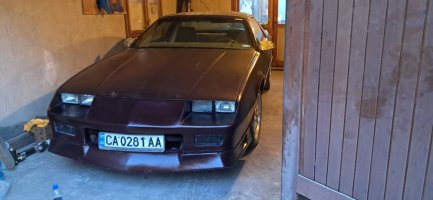 амер-Камаро Ттоп.jpg