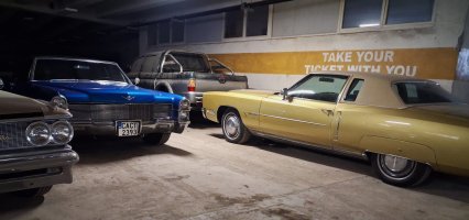 амер-2 х Кади.jpg