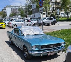 амер-Станг-фастбек-Сф.jpg