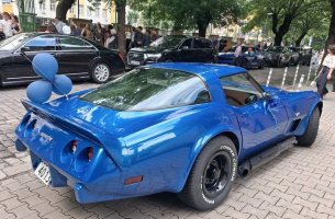амер-Вет С3-син.jpg