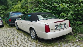 амер-ДевилДТС-Пепи-ТенисКортове-2.jpg