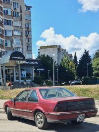 амер-Берета-бордо-Сф.jpg