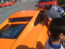 IMG_2203.jpg