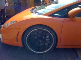IMG_2211.jpg