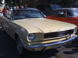 IMG_2245.jpg